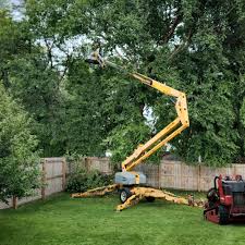 Purdy, WA Tree Care Company